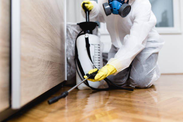 Insect Control in Chappaqua, NY