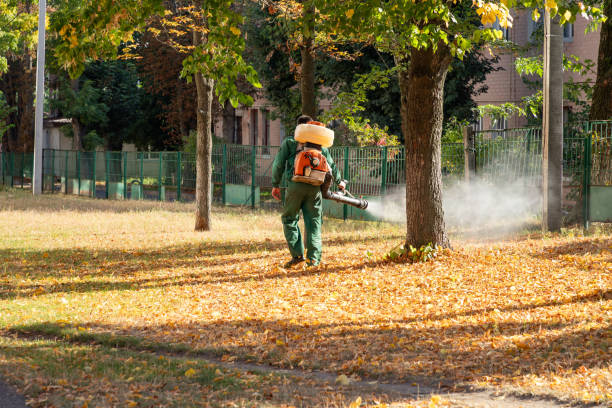 Best Rodent Control Near Me  in Chappaqua, NY