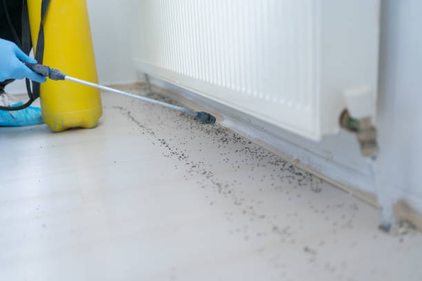 Best Pest Control Treatment  in Chappaqua, NY